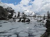 24 Lago del Becco ghiacciato
